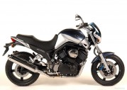 Yamaha BT1100 Bulldog Yamaha BT1100 Bulldog